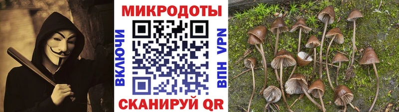 Псилоцибиновые грибы Magic Shrooms  закладка  Городище 
